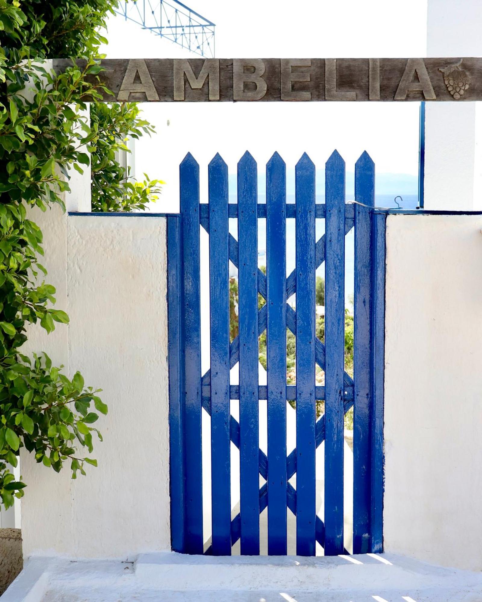 4 Ambelia Paradise Megalochori  Kültér fotó